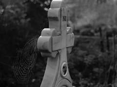 [COC] 레테의 키스 (사냥자객) 로그 백업···2