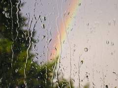 인간의 목소리는, 비오는날 우산 속에서 가장 아름답게 들린다.