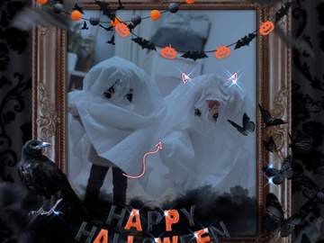 [2020 할로윈] 카게히나