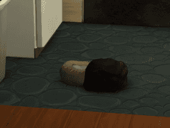 2~4대 플레이③-2