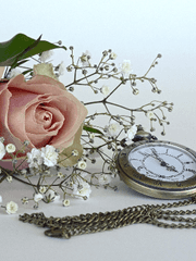 천사에 관하여: 타락천사편