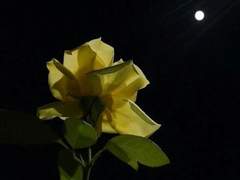 하이큐 단편 모음집