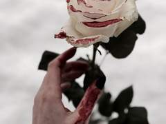 사랑하는 내 동생.