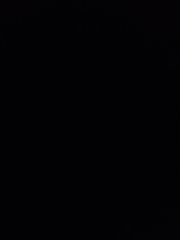 어쩌다가 백수룡이 고백한썰