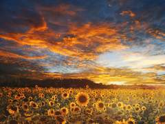 나에게 남은 너의 마지막 말.