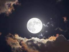 [앙스타 드림] 거짓말이라고 해줘!!!