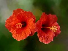 늘 열심히 노력하는 당신에게