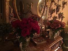 시노커 청소년기 프로필