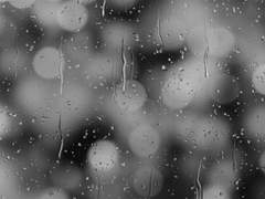 [성식은창] 수장