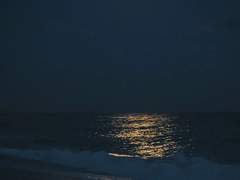 [정남매] 해무인어전(海霧人魚傳)