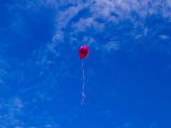 [설희수정] 맥거핀 아이들의 풍선놀이