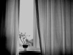 [문제편, 그 이후] behind the curtain