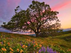 갈 수만 있다면 Ep. 0