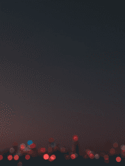 잠깐 머물더니 사라졌다