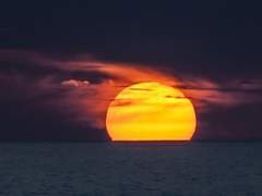 세필리아 템페스트 XX 35