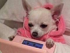 엔시티 나페스 추천