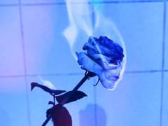 그저 그런 이야기 #1