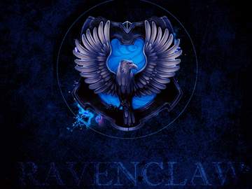 우당탕탕 해포틴: 래번클로 편