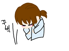 소설에 관한 안내상항