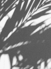 유학?유학! 유학일기