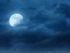 [이곤조영] 어스름 푸른 달이 뜨는 새벽