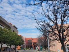 COVID Booster 맞고