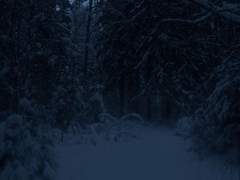 백야차는 백야차이며 백야차가 아니다.