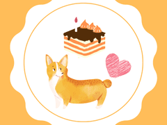 캔바라는 사이트를 이용해 디자인을 해볼까나!