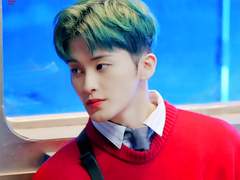 센티넬물에 하이틴을 끼얹어보았다. 그 결과는?