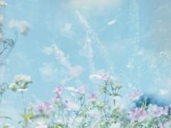 연성하기 좋은 꽃말