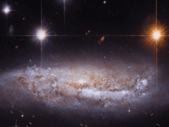 나의 라임 오렌지 별주머니