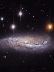 나의 라임 오렌지 별 주머니