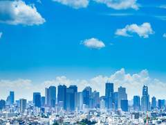 충동적인 여행.