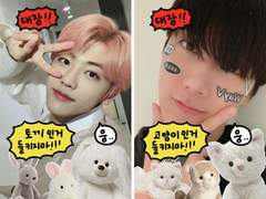 🐰투명포카 도안 배포🐱 토끼 고양이