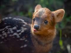 여기는 반인반수심리상담센터입니다! 3