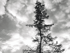 매일 마주치던 그 사람 #01