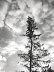 [BL] 매일 마주치던 그 사람