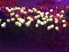 [천관사복] 可堪之人