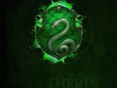 우당탕탕 해포틴: 슬리데린 편 + 본편 외 외전, 나이 그룹 별 첫 만남, 멤버 별 지팡이와 패트로누스 등