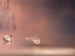 사랑했던 세계에 작별을