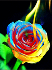 악녀가 된 이유