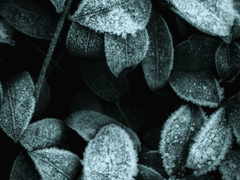 ㅌr로 ㅋJㅁi션 신청용 Dream Couple Profil