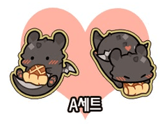 디페 통판합니다!