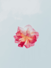 일이공 이것저것