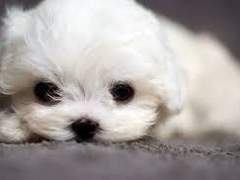 우당탕탕 수인학교 9