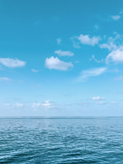 가면라이더 오즈