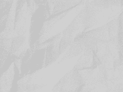 언더 프로모션 후기