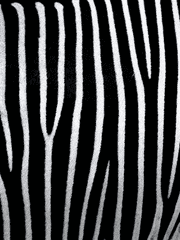 샤먼킹 레드크림슨 후기