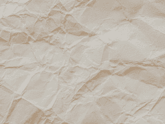 손에 잡히는 것