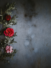 _ 앙상블 스타즈!